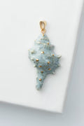 Robin Shell Charm